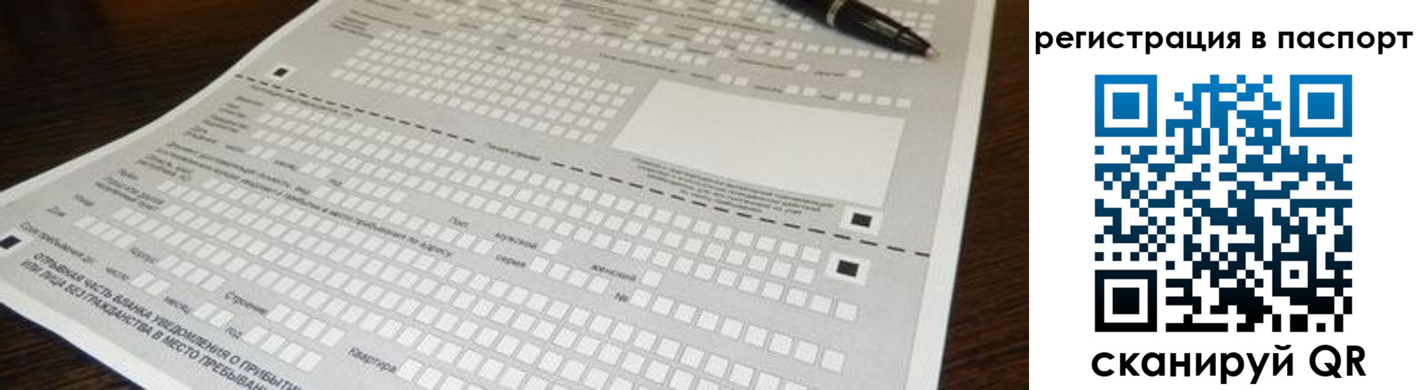 где прописаться в Новоузенске